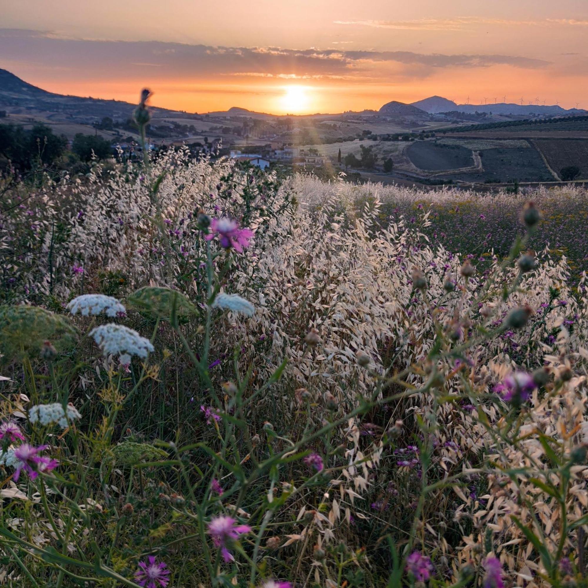 B&B Della Via Francigena 아그리젠토 외부 사진