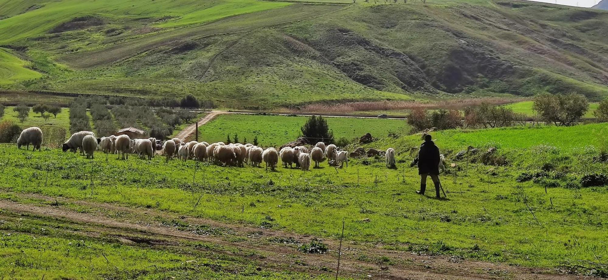 B&B Della Via Francigena 아그리젠토 외부 사진