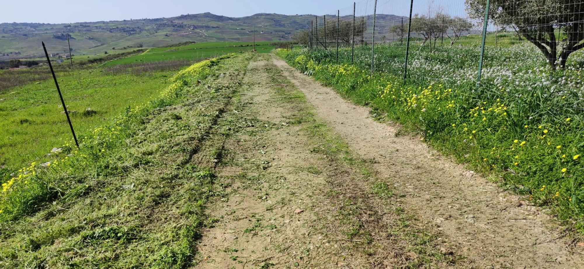 B&B Della Via Francigena 아그리젠토 외부 사진